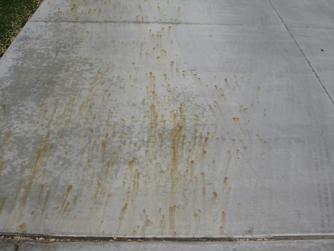 Before fertilizer stain removal on concrete