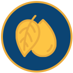 eco